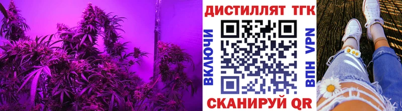 ТГК Wax  Нижний Новгород 