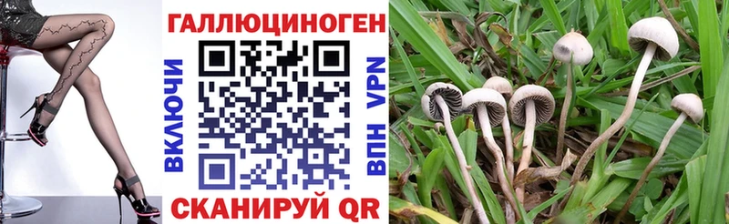 даркнет формула  Нижний Новгород  Галлюциногенные грибы Psilocybine cubensis  купить наркоту 